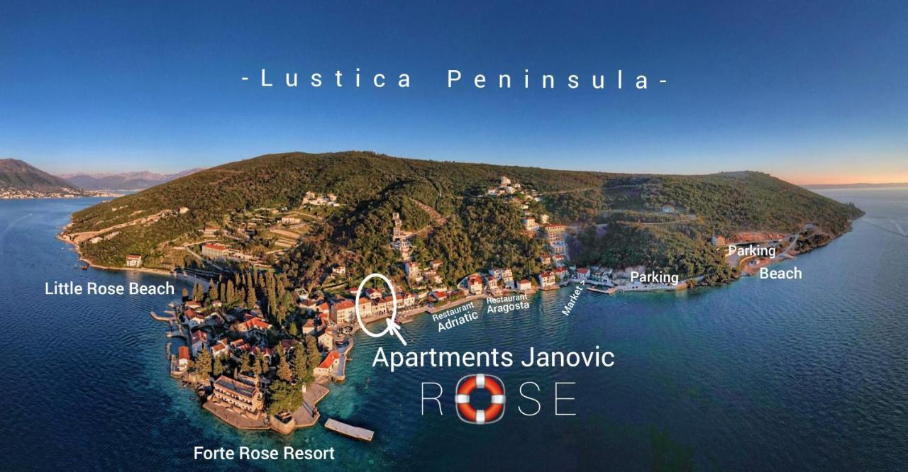 Rose - Apartmani Janovic Luštica Buitenkant foto