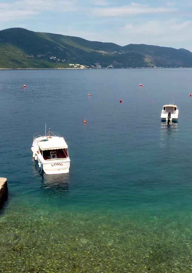 Rose - Apartmani Janovic Luštica Buitenkant foto